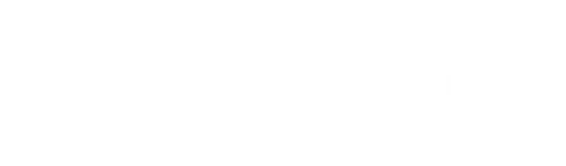 Ray Chiropractic & Wellness logo – Dr. Fawn Ray, Chiropractor in Colleyville TX